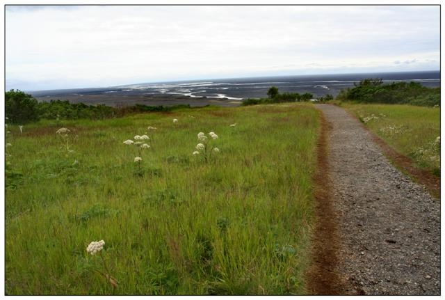 islande skatfatell iceberg 105 (Small).jpg